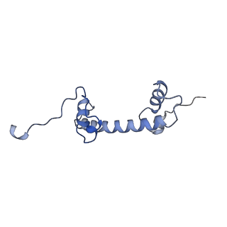 16936_8ol1_G_v1-1
cGAS-Nucleosome in complex with SPSB3-ELOBC (composite structure)