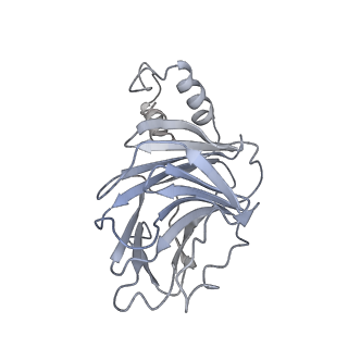 16936_8ol1_L_v1-1
cGAS-Nucleosome in complex with SPSB3-ELOBC (composite structure)