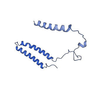 16962_8olt_A_v1-0
Mitochondrial complex I from Mus musculus in the active state bound with piericidin A