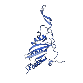 16962_8olt_C_v1-0
Mitochondrial complex I from Mus musculus in the active state bound with piericidin A