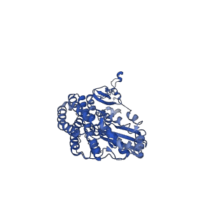 16962_8olt_D_v1-0
Mitochondrial complex I from Mus musculus in the active state bound with piericidin A