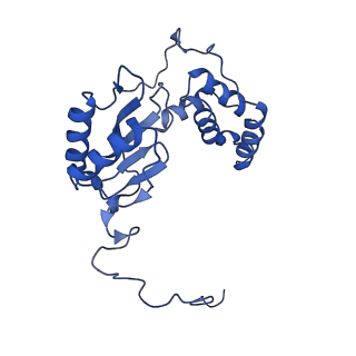16962_8olt_E_v1-0
Mitochondrial complex I from Mus musculus in the active state bound with piericidin A