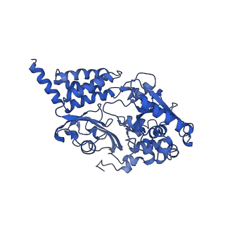 16962_8olt_F_v1-0
Mitochondrial complex I from Mus musculus in the active state bound with piericidin A