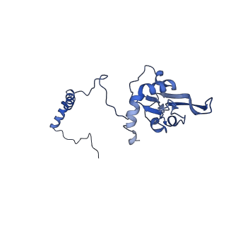 16962_8olt_I_v1-0
Mitochondrial complex I from Mus musculus in the active state bound with piericidin A
