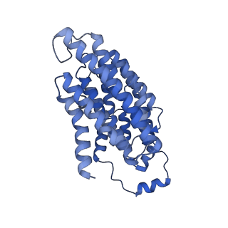 16962_8olt_N_v1-0
Mitochondrial complex I from Mus musculus in the active state bound with piericidin A