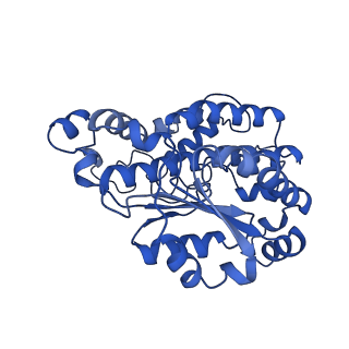 16962_8olt_O_v1-0
Mitochondrial complex I from Mus musculus in the active state bound with piericidin A