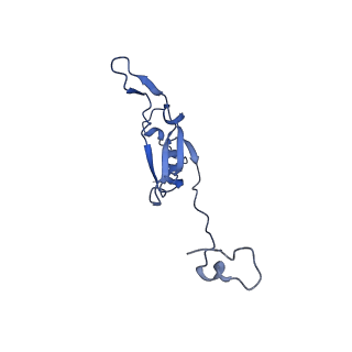 16962_8olt_Q_v1-0
Mitochondrial complex I from Mus musculus in the active state bound with piericidin A