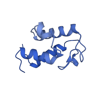 16962_8olt_U_v1-0
Mitochondrial complex I from Mus musculus in the active state bound with piericidin A