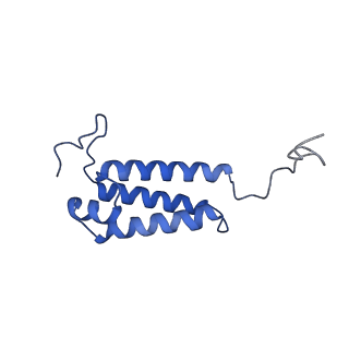 16962_8olt_V_v1-0
Mitochondrial complex I from Mus musculus in the active state bound with piericidin A