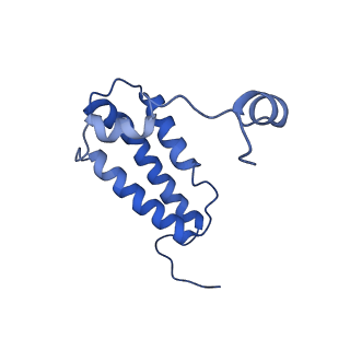 16962_8olt_W_v1-0
Mitochondrial complex I from Mus musculus in the active state bound with piericidin A