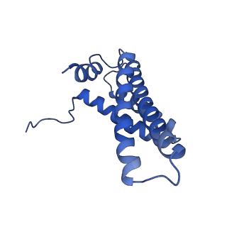 16962_8olt_Y_v1-0
Mitochondrial complex I from Mus musculus in the active state bound with piericidin A