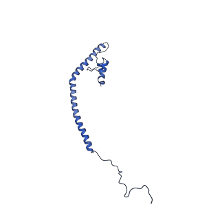 16962_8olt_Z_v1-0
Mitochondrial complex I from Mus musculus in the active state bound with piericidin A