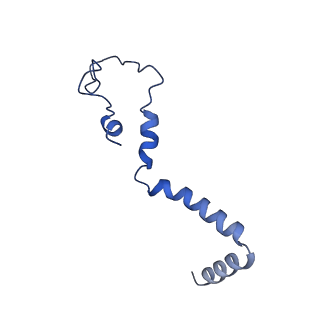 16962_8olt_b_v1-0
Mitochondrial complex I from Mus musculus in the active state bound with piericidin A