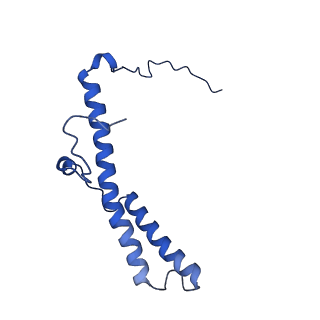 16962_8olt_d_v1-0
Mitochondrial complex I from Mus musculus in the active state bound with piericidin A