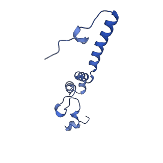 16962_8olt_e_v1-0
Mitochondrial complex I from Mus musculus in the active state bound with piericidin A