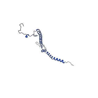 16962_8olt_h_v1-0
Mitochondrial complex I from Mus musculus in the active state bound with piericidin A