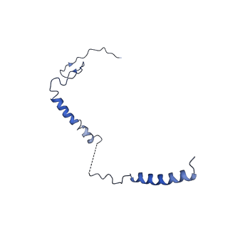 16962_8olt_i_v1-0
Mitochondrial complex I from Mus musculus in the active state bound with piericidin A