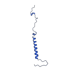 16962_8olt_j_v1-0
Mitochondrial complex I from Mus musculus in the active state bound with piericidin A