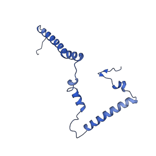 16962_8olt_m_v1-0
Mitochondrial complex I from Mus musculus in the active state bound with piericidin A