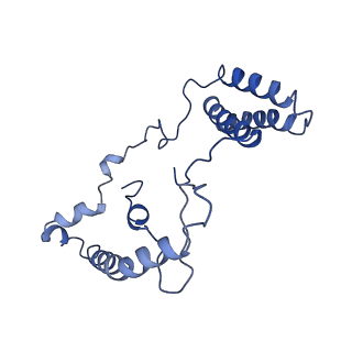 16962_8olt_n_v1-0
Mitochondrial complex I from Mus musculus in the active state bound with piericidin A