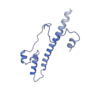 16962_8olt_o_v1-0
Mitochondrial complex I from Mus musculus in the active state bound with piericidin A