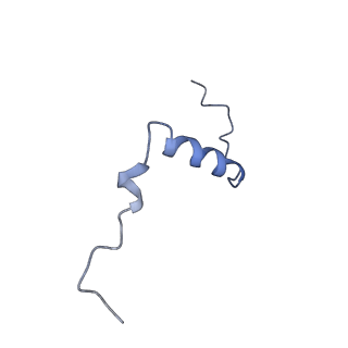 16962_8olt_s_v1-0
Mitochondrial complex I from Mus musculus in the active state bound with piericidin A