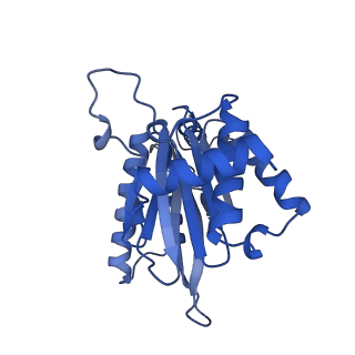 16963_8olu_A_v1-1
Leishmania tarentolae proteasome 20S subunit in complex with 1-Benzyl-N-(3-(cyclopropylcarbamoyl)phenyl)-6-oxo-1,6-dihydropyridazine-3-carboxamide