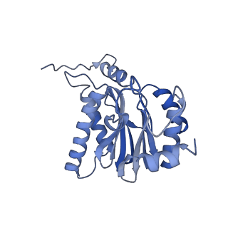 16963_8olu_B_v1-1
Leishmania tarentolae proteasome 20S subunit in complex with 1-Benzyl-N-(3-(cyclopropylcarbamoyl)phenyl)-6-oxo-1,6-dihydropyridazine-3-carboxamide