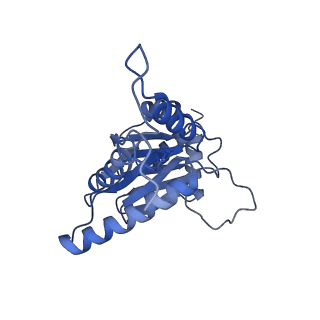 16963_8olu_D_v1-1
Leishmania tarentolae proteasome 20S subunit in complex with 1-Benzyl-N-(3-(cyclopropylcarbamoyl)phenyl)-6-oxo-1,6-dihydropyridazine-3-carboxamide