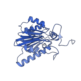 16963_8olu_E_v1-1
Leishmania tarentolae proteasome 20S subunit in complex with 1-Benzyl-N-(3-(cyclopropylcarbamoyl)phenyl)-6-oxo-1,6-dihydropyridazine-3-carboxamide