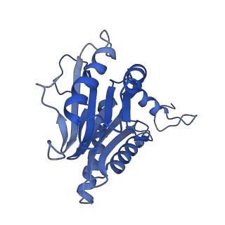 16963_8olu_G_v1-1
Leishmania tarentolae proteasome 20S subunit in complex with 1-Benzyl-N-(3-(cyclopropylcarbamoyl)phenyl)-6-oxo-1,6-dihydropyridazine-3-carboxamide
