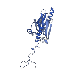 16963_8olu_H_v1-1
Leishmania tarentolae proteasome 20S subunit in complex with 1-Benzyl-N-(3-(cyclopropylcarbamoyl)phenyl)-6-oxo-1,6-dihydropyridazine-3-carboxamide