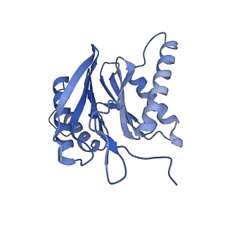 16963_8olu_M_v1-1
Leishmania tarentolae proteasome 20S subunit in complex with 1-Benzyl-N-(3-(cyclopropylcarbamoyl)phenyl)-6-oxo-1,6-dihydropyridazine-3-carboxamide