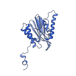 16963_8olu_N_v1-1
Leishmania tarentolae proteasome 20S subunit in complex with 1-Benzyl-N-(3-(cyclopropylcarbamoyl)phenyl)-6-oxo-1,6-dihydropyridazine-3-carboxamide