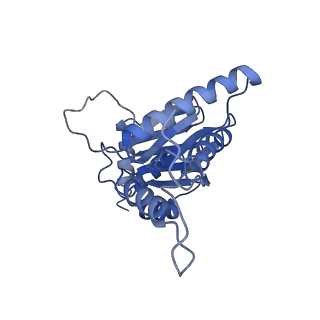 16963_8olu_R_v1-1
Leishmania tarentolae proteasome 20S subunit in complex with 1-Benzyl-N-(3-(cyclopropylcarbamoyl)phenyl)-6-oxo-1,6-dihydropyridazine-3-carboxamide