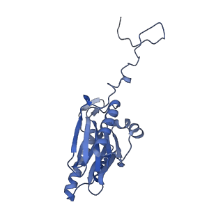 16963_8olu_V_v1-1
Leishmania tarentolae proteasome 20S subunit in complex with 1-Benzyl-N-(3-(cyclopropylcarbamoyl)phenyl)-6-oxo-1,6-dihydropyridazine-3-carboxamide