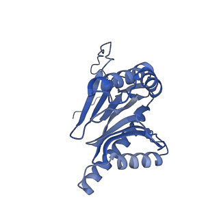 16963_8olu_W_v1-1
Leishmania tarentolae proteasome 20S subunit in complex with 1-Benzyl-N-(3-(cyclopropylcarbamoyl)phenyl)-6-oxo-1,6-dihydropyridazine-3-carboxamide