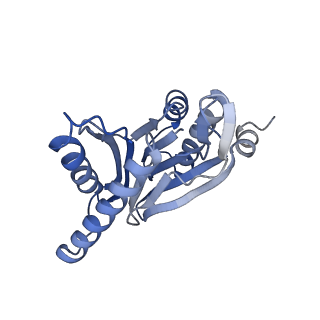 16963_8olu_Z_v1-1
Leishmania tarentolae proteasome 20S subunit in complex with 1-Benzyl-N-(3-(cyclopropylcarbamoyl)phenyl)-6-oxo-1,6-dihydropyridazine-3-carboxamide