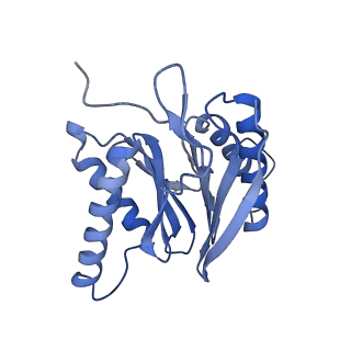 16963_8olu_a_v1-1
Leishmania tarentolae proteasome 20S subunit in complex with 1-Benzyl-N-(3-(cyclopropylcarbamoyl)phenyl)-6-oxo-1,6-dihydropyridazine-3-carboxamide