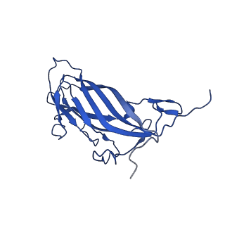 20113_6ola_A1_v1-2
Structure of the PCV2d virus-like particle