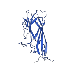 20113_6ola_A2_v1-1
Structure of the PCV2d virus-like particle