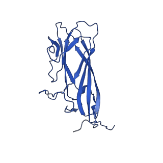 20113_6ola_A2_v1-2
Structure of the PCV2d virus-like particle