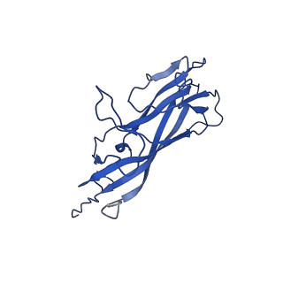 20113_6ola_A3_v1-1
Structure of the PCV2d virus-like particle