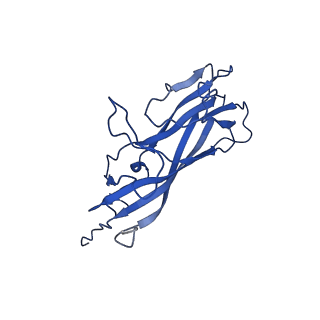 20113_6ola_A3_v1-2
Structure of the PCV2d virus-like particle