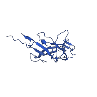 20113_6ola_A4_v1-1
Structure of the PCV2d virus-like particle