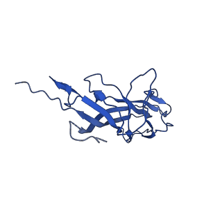 20113_6ola_A4_v1-2
Structure of the PCV2d virus-like particle