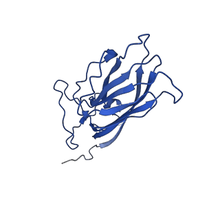 20113_6ola_A5_v1-1
Structure of the PCV2d virus-like particle