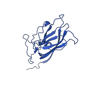 20113_6ola_A5_v1-2
Structure of the PCV2d virus-like particle