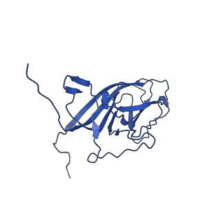 20113_6ola_A7_v1-2
Structure of the PCV2d virus-like particle