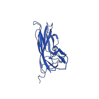 20113_6ola_A8_v1-2
Structure of the PCV2d virus-like particle